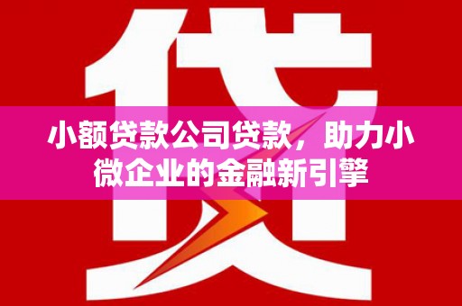 龙游小额贷款公司贷款，助力小微企业的金融新引擎
