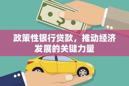 龙游政策性银行贷款，推动经济发展的关键力量