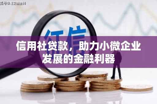 龙游信用社贷款，助力小微企业发展的金融利器