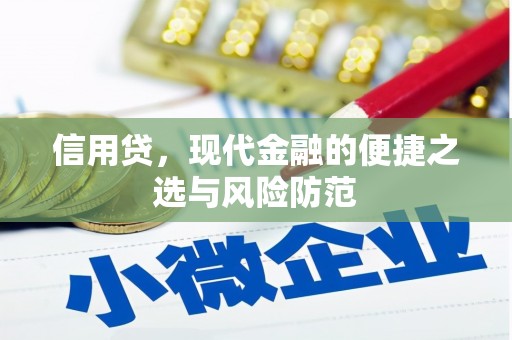 龙游信用贷，现代金融的便捷之选与风险防范