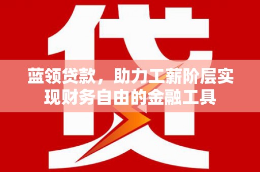 龙游蓝领贷款，助力工薪阶层实现财务自由的金融工具