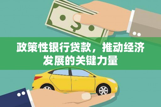 龙游政策性银行贷款，推动经济发展的关键力量