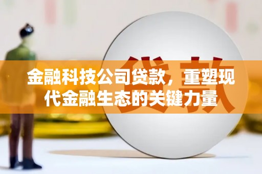 龙游金融科技公司贷款，重塑现代金融生态的关键力量