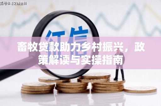 龙游畜牧贷款助力乡村振兴，政策解读与实操指南