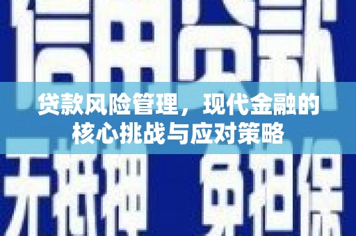 龙游贷款风险管理，现代金融的核心挑战与应对策略