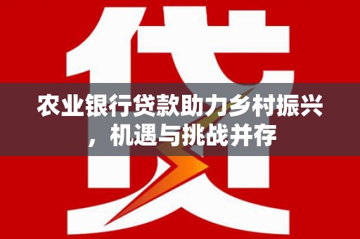 龙游农业银行贷款助力乡村振兴，机遇与挑战并存