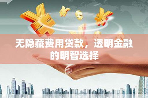 龙游无隐藏费用贷款，透明金融的明智选择