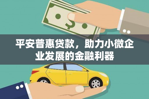 龙游平安普惠贷款，助力小微企业发展的金融利器