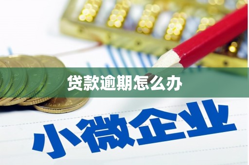 龙游贷款逾期怎么办