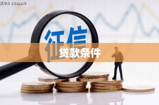 龙游贷款条件