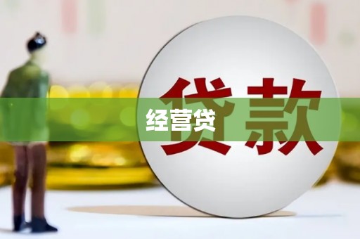 龙游经营贷