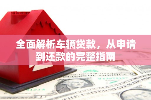 龙游全面解析车辆贷款，从申请到还款的完整指南