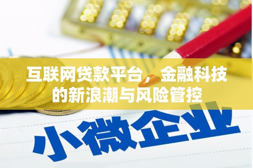 龙游互联网贷款平台，金融科技的新浪潮与风险管控