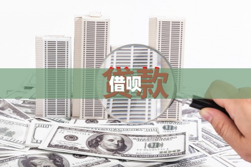 龙游借呗