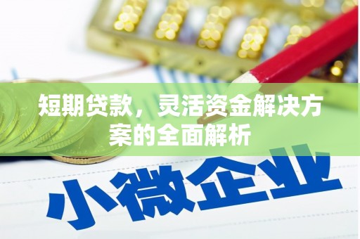 龙游短期贷款，灵活资金解决方案的全面解析