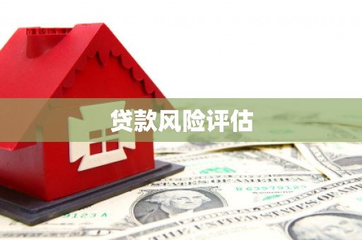 龙游贷款风险评估