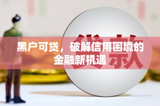 龙游黑户可贷，破解信用困境的金融新机遇