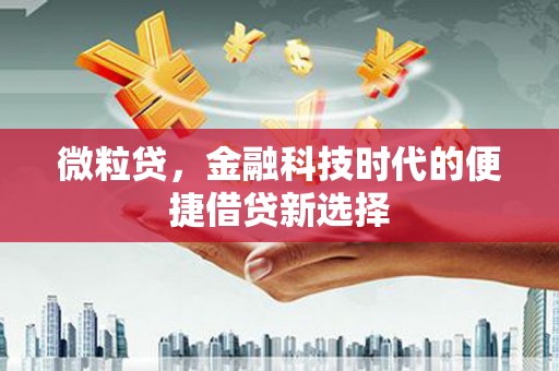 龙游微粒贷，金融科技时代的便捷借贷新选择