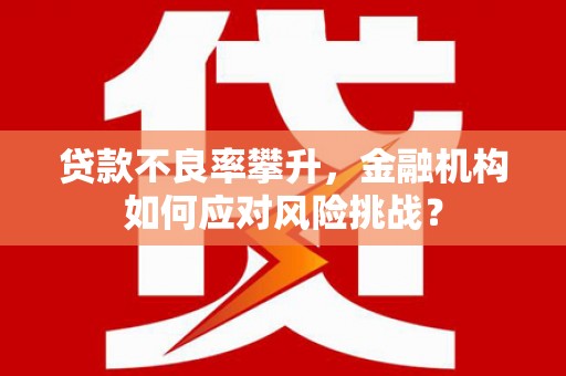 龙游贷款不良率攀升，金融机构如何应对风险挑战？