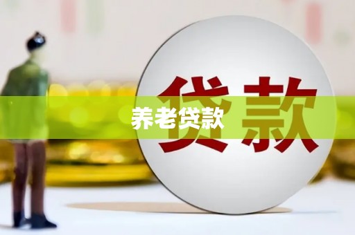龙游养老贷款