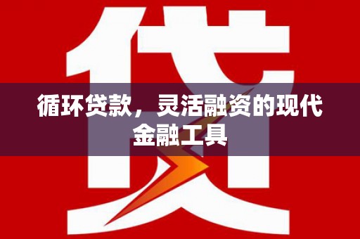龙游循环贷款，灵活融资的现代金融工具