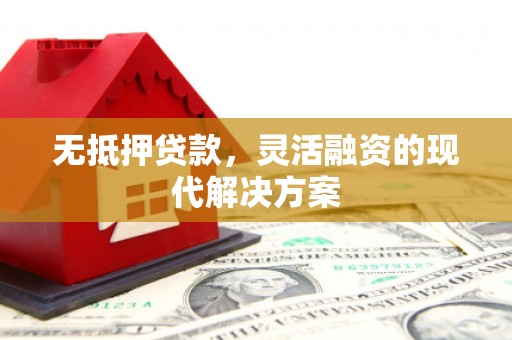 龙游无抵押贷款，灵活融资的现代解决方案