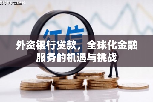 龙游外资银行贷款，全球化金融服务的机遇与挑战