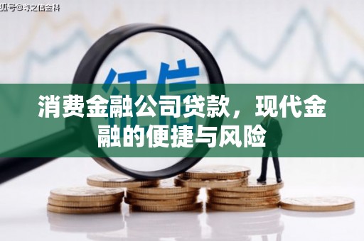 龙游消费金融公司贷款，现代金融的便捷与风险