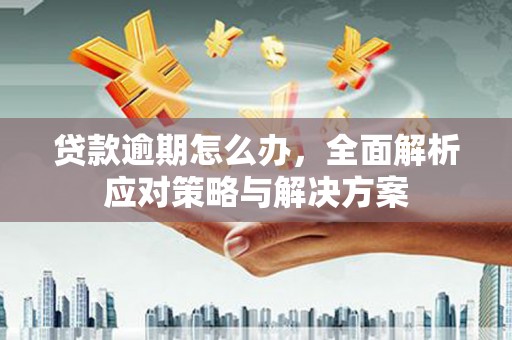 龙游贷款逾期怎么办，全面解析应对策略与解决方案