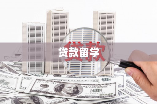 龙游贷款留学