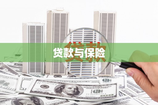 龙游贷款与保险
