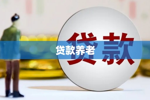 龙游贷款养老