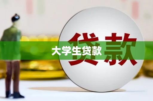龙游大学生贷款
