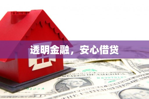 龙游透明金融，安心借贷