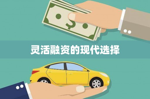 龙游灵活融资的现代选择