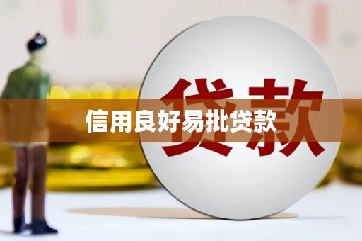 龙游信用良好易批贷款