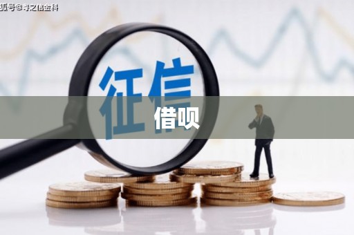 龙游借呗