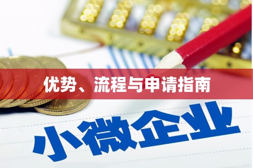 龙游优势、流程与申请指南