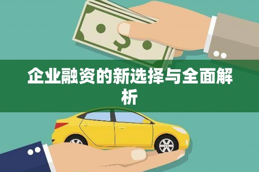 龙游企业融资的新选择与全面解析