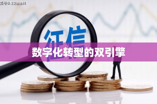 龙游数字化转型的双引擎