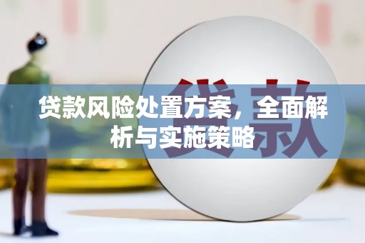龙游贷款风险处置方案，全面解析与实施策略