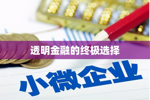 龙游透明金融的终极选择