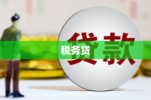 龙游税务贷