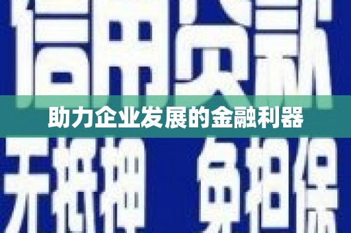 龙游助力企业发展的金融利器