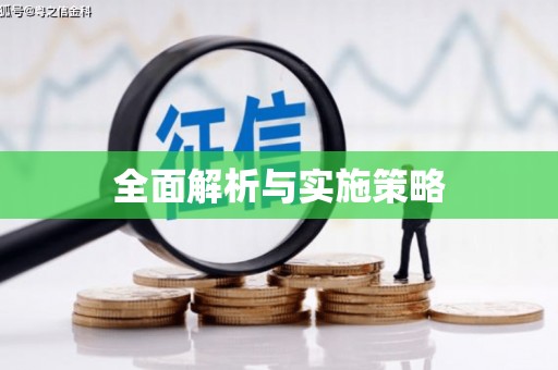 龙游全面解析与实施策略