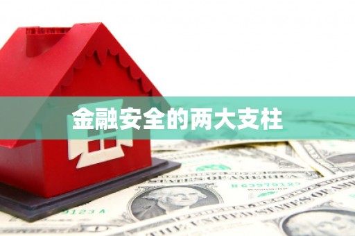 龙游金融安全的两大支柱