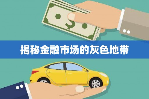 龙游揭秘金融市场的灰色地带