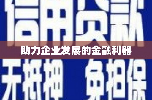 龙游助力企业发展的金融利器