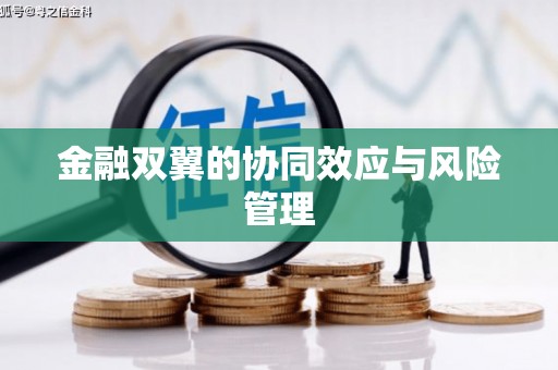 龙游金融双翼的协同效应与风险管理