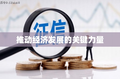 龙游推动经济发展的关键力量